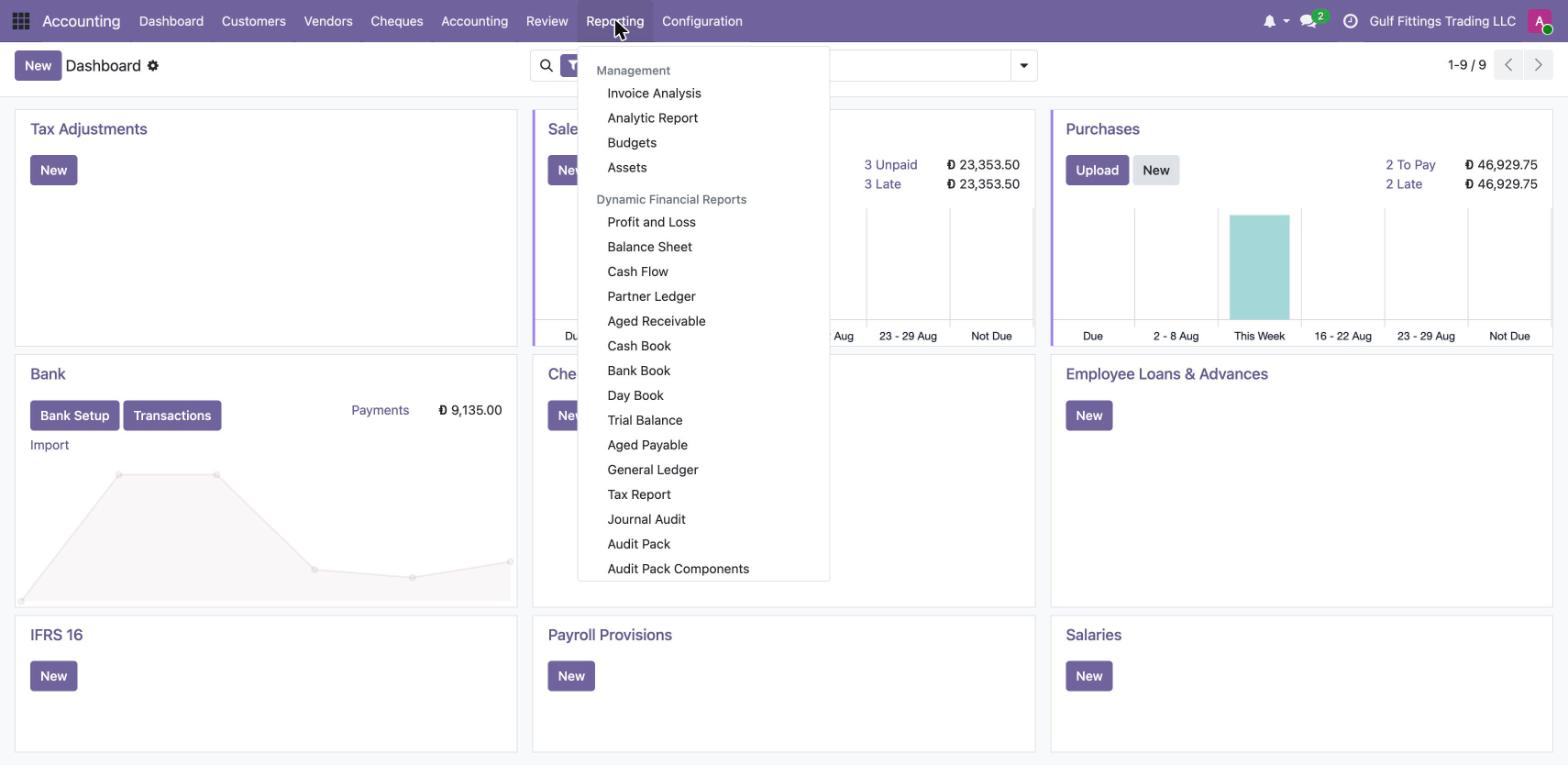 Odoone Dynamic Financial Reports menu in Odoo: profit and loss, balance sheet, cash flow, partner ledger, aged receivable and payable, trial balance, general ledger, tax report, journal audit and audit pack.
